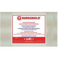 Burnfree&reg; BurngelTM, Gel, Class 2 FMT Sales Ltd