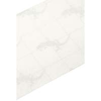 Ruban antid&eacute;rapant de premi&egrave;re qualit&eacute;, 4" x 60', Transparent FMT Sales Ltd