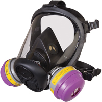 Respirateur &agrave; masque complet de s&eacute;rie RU6500 de North, Silicone, Petit FMT Sales Ltd