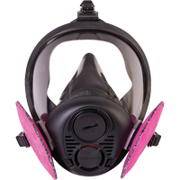 Respirateur &agrave; masque complet de s&eacute;rie RU6500 de North, Silicone, Petit FMT Sales Ltd