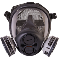 Respirateur &agrave; masque complet de s&eacute;rie RU6500 de North, Silicone, Petit FMT Sales Ltd