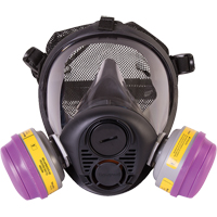 Respirateur &agrave; masque complet de s&eacute;rie RU6500 de North, Silicone, Petit FMT Sales Ltd
