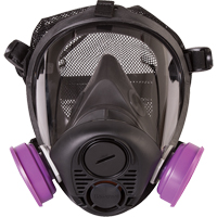 Respirateur &agrave; masque complet de s&eacute;rie RU6500 de North, Silicone, Petit FMT Sales Ltd