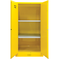 Flammable Storage Cabinet, 60 gal., 2 Door, 34" W x 65" H x 34" D FMT Sales Ltd