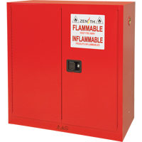 Paint/Ink Cabinet, 45 gal., 3 Shelves FMT Sales Ltd