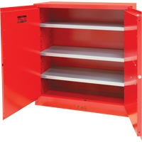 Paint/Ink Cabinet, 45 gal., 3 Shelves FMT Sales Ltd