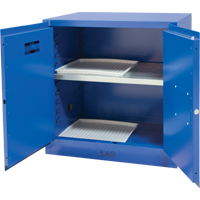 Corrosive Liquids Cabinet, 22 gal., 35" x 35" x 22" FMT Sales Ltd