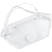 Respirateur contre les particules, N95, Certifi&eacute; NIOSH, Moyen/grand FMT Sales Ltd