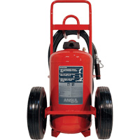 Red Line&reg; Wheeled Fire Extinguishers, BC, 125 lbs. Capacity FMT Sales Ltd