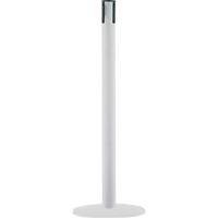 Poteaux receveurs marins, Hauteur de 38", Blanc FMT Sales Ltd
