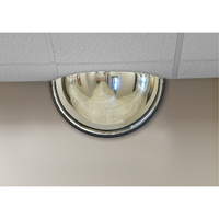 180° Dome Mirror, Half Dome, Closed Top, 18" Diameter FMT Sales Ltd