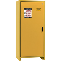 30-Minute EN Safety Storage Cabinet, 30 gal., 1 Door, 34.02" W x 76.65" H x 24.21" D FMT Sales Ltd
