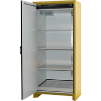 30-Minute EN Safety Storage Cabinet, 30 gal., 1 Door, 34.02" W x 76.65" H x 24.21" D FMT Sales Ltd