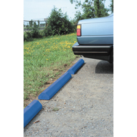 Car Stops, Plastic, 6' L, Blue FMT Sales Ltd