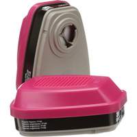 Cartouches pour respirateur s&eacute;rie 6000, Cartouche gaz/vapeur, Vapeurs organiques/P100 FMT Sales Ltd