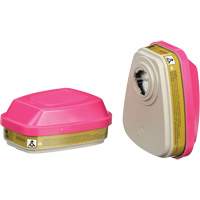 Cartouches pour respirateur s&eacute;rie 6000, Cartouche gaz/vapeur, Gaz multiples/Vapeurs/P100 FMT Sales Ltd