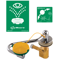 Eye/Face Wash Station, Sink Mount Installation FMT Sales Ltd