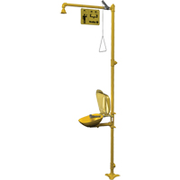 Halo Combination Emergency Shower & Eyewash Station FMT Sales Ltd