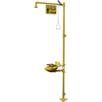 Halo Combination Emergency Shower & Eyewash Station FMT Sales Ltd