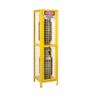 Gas Cylinder Cabinets, 2 Cylinder Capacity, 17" W x 17" D x 69" H, Yellow FMT Sales Ltd