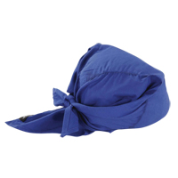 Chill-Its&reg; 6710 Cooling Triangle Hats, Blue FMT Sales Ltd