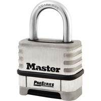Cadenas &agrave; combinaison ProSeries, Argent, Acier inoxydable, Largeur de 2-1/4" FMT Sales Ltd