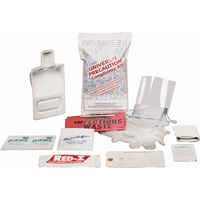 Fluid Spill Clean-Up Kit, Hazmat, Bag, None Absorbancy FMT Sales Ltd