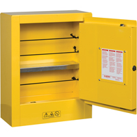 Sure-Grip&reg; EX Mini Flammable Safety Cabinet, 2 Gal., 1 Door, 17" W x 22" H x 8" D FMT Sales Ltd
