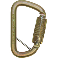 Rollgliss Technical Rescue Offset D Fall Arrest Carabiner, Steel, 3600 lbs Capacity FMT Sales Ltd
