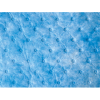 Oil Only Sorbent Sweep FMT Sales Ltd