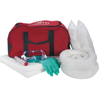 Vehicle Spill Kit, Oil Only, Bag, 10 US gal. Absorbancy FMT Sales Ltd