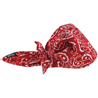 Bandeaux en triangle 6710CT de refroidissement en tissu de serviette Chill-Its, Rouge FMT Sales Ltd