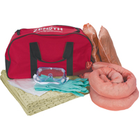 Premium Vehicle Spill Kit, Hazmat, Bag, 10 US gal. Absorbancy FMT Sales Ltd