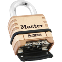 Cadenas &agrave; combinaison ProSeries, Argent, Rev&ecirc;tement en laiton, Largeur de 2-1/4" FMT Sales Ltd