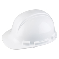 North&reg; Whistler Hardhat, Meets CSA Type 1, Ratchet Suspension, Non-Vented FMT Sales Ltd