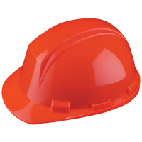 North&reg; Mont-Blanc Hardhat, Meets CSA Type 2, Ratchet Suspension, Non-Vented FMT Sales Ltd