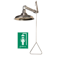 Drench Shower, Wall-Mount FMT Sales Ltd