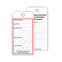 GHS Workplace Tags, Cardstock, 3" W x 6" H, English FMT Sales Ltd