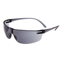 Lunettes de s&eacute;curit&eacute; Uvex s&eacute;rie SVP 200, Lentille Grise/fum&eacute;e, Anti-&eacute;gratignures, ANSI Z87+/R&eacute;pond ou surpasse la norme CSA Z94.3 FMT Sales Ltd