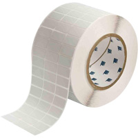 Glossy Rating Plate Labels, Metalized Polyester, 1" L x 0.5" H, Silver FMT Sales Ltd