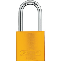 Padlock, Keyed Different, Aluminum, 1-1/2" Width FMT Sales Ltd