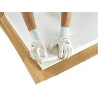 PX140 Coated Gloves, 6/X-Small, Polyurethane Coating, 15 Gauge, Nylon Shell FMT Sales Ltd