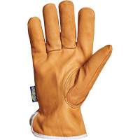 Endura&reg; Driver's Glove, Small, Grain Goatskin Palm, Thinsulate Inner Lining FMT Sales Ltd