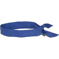 Cooling Bandana, Blue FMT Sales Ltd