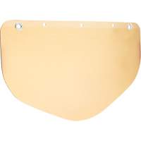 Faceshield Visors