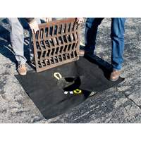 Storm Sentinel&reg; Catch Basin Insert, Sediment, 48" L x 36" W FMT Sales Ltd