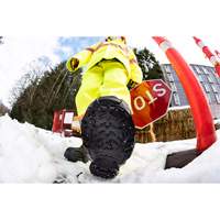 Aide &agrave; la traction robuste, Carbure de tungst&egrave;ne, Traction Crampon, Petit FMT Sales Ltd