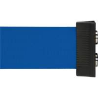 Wall Mount Barrier with Magnetic Tape, Steel, Screw Mount, 7', Blue Tape FMT Sales Ltd