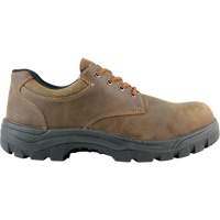 Warrior Work Shoes, Size 13, Steel Toe, Puncture Resistant Sole, Leather FMT Sales Ltd