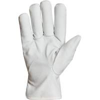 Endura&reg; Winter-Lined Driver Gloves, X-Large, Grain Goatskin Palm, Thinsulate Inner Lining FMT Sales Ltd